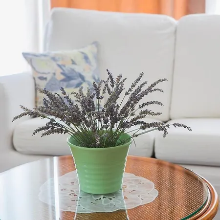 Bony Apartment Zadar