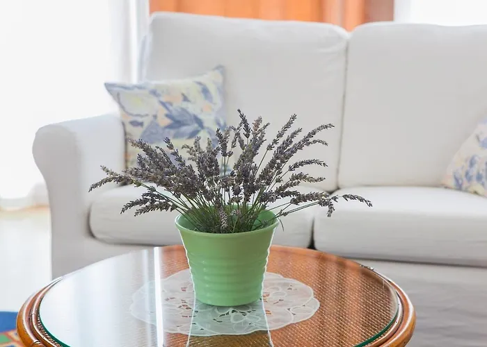 Bony Apartment Zadar